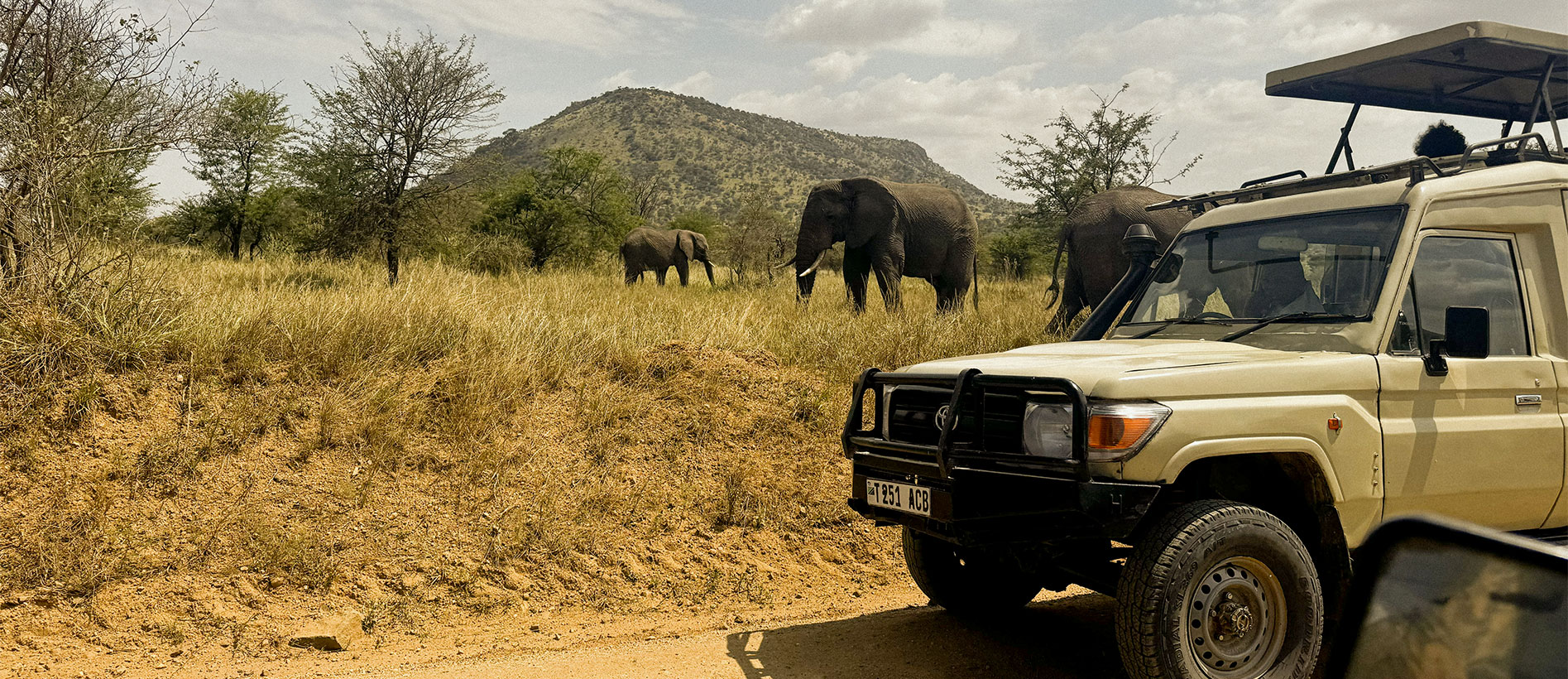 Game drive