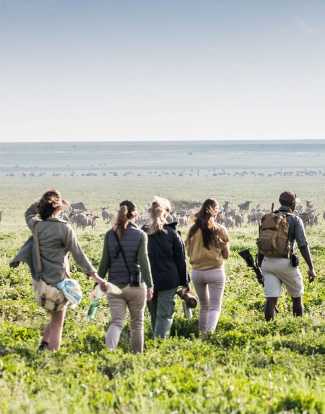  Walking Safari