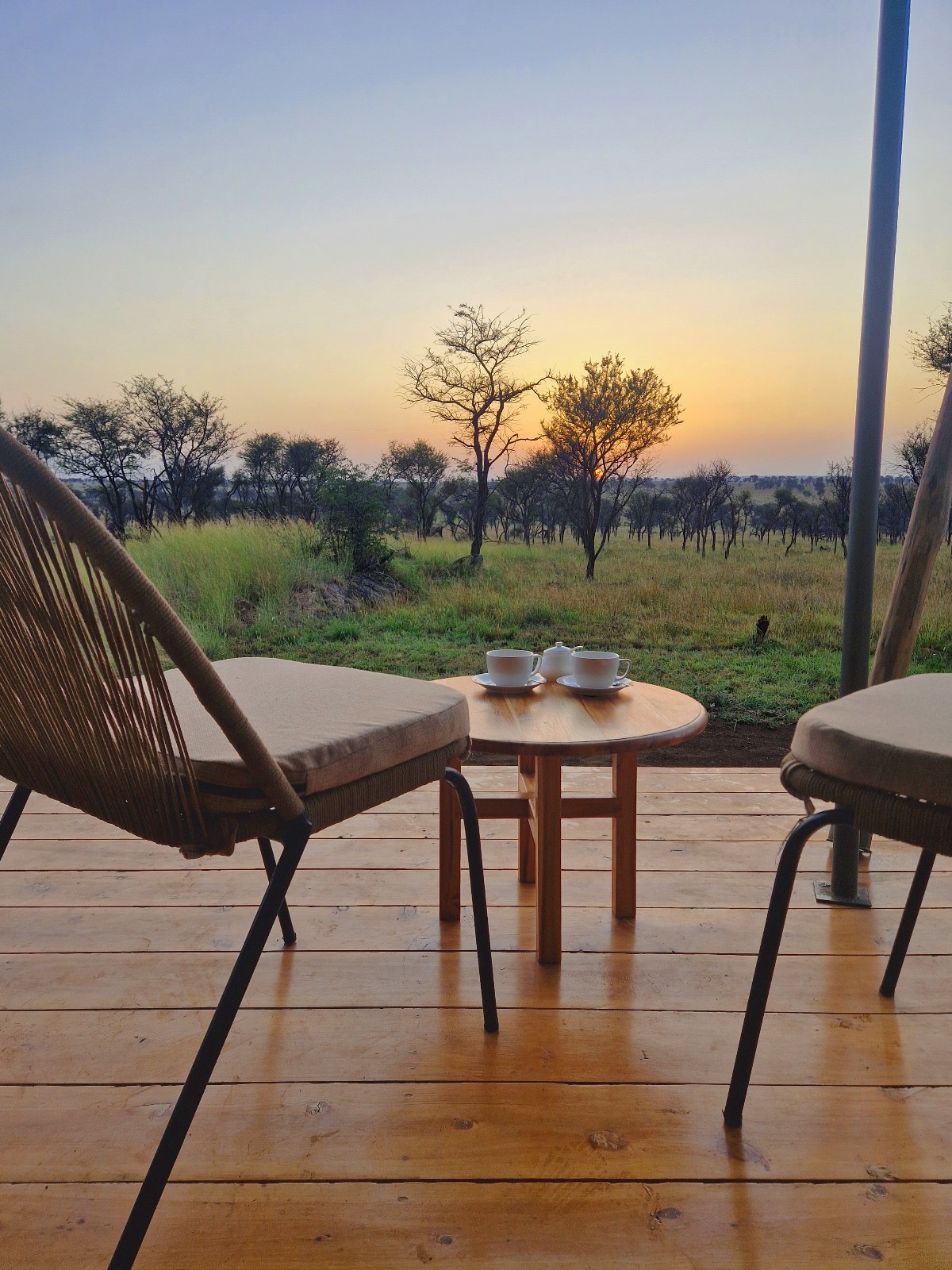 


												Sundowners
							                 
