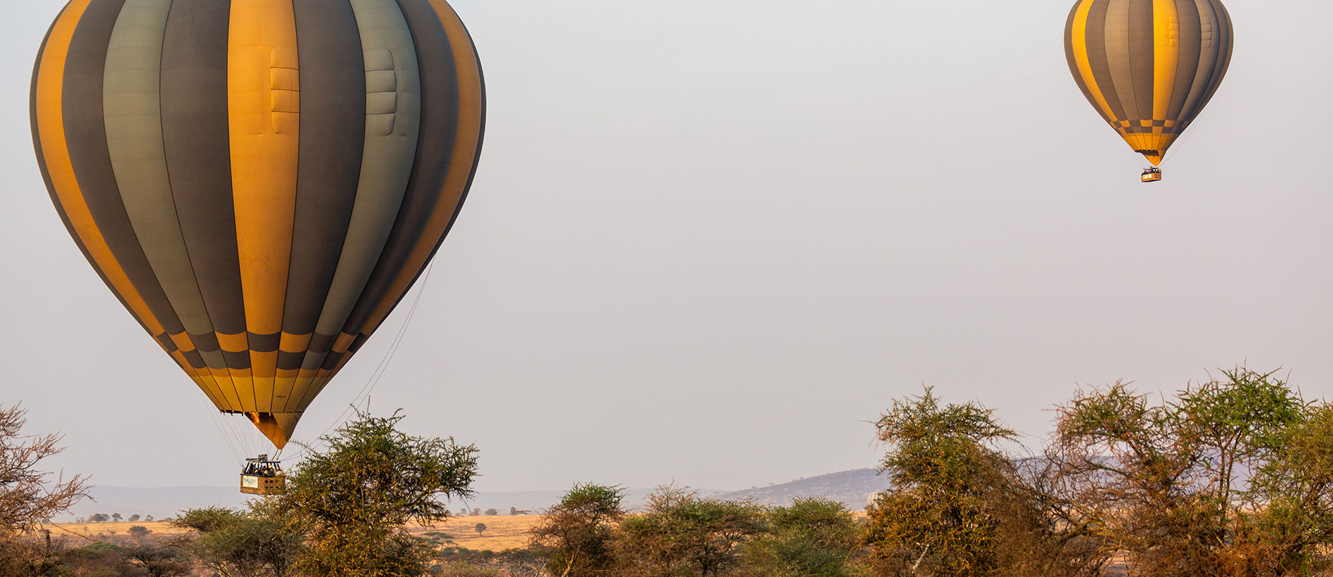  Baloon Safari